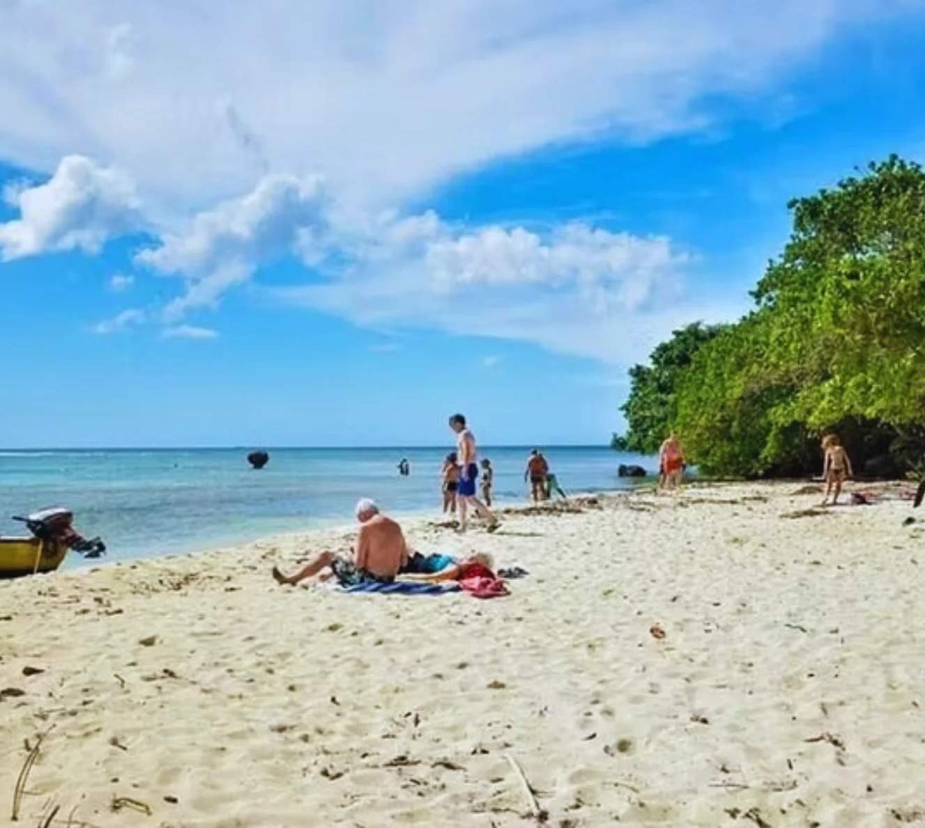 Booby Cay, Seven Mile Beach, Rick’s Café Tour - Image 6